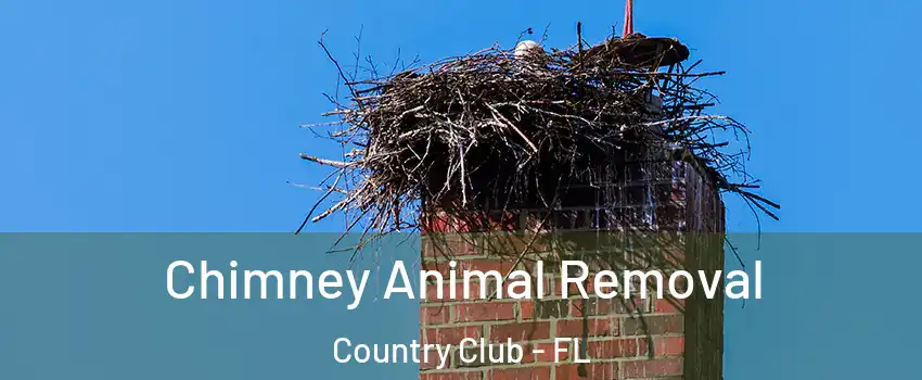 Chimney Animal Removal Country Club - FL