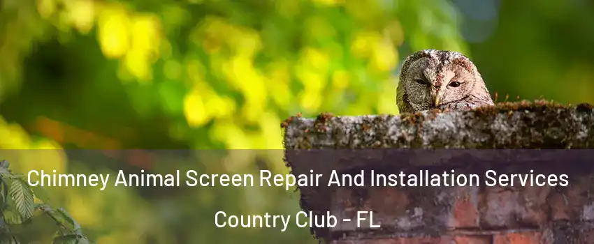  Chimney Animal Screen Repair And Installation Services Country Club - FL