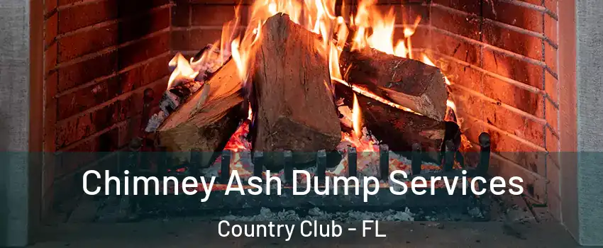  Chimney Ash Dump Services Country Club - FL