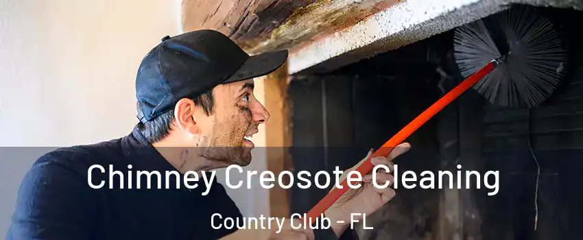  Chimney Creosote Cleaning Country Club - FL