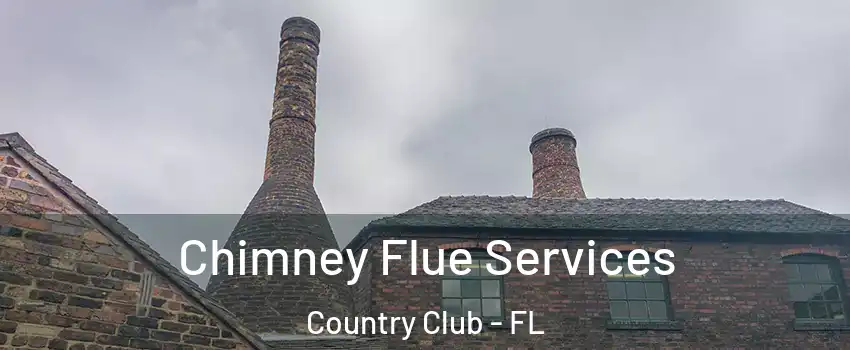  Chimney Flue Services Country Club - FL