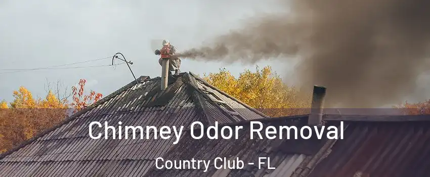  Chimney Odor Removal Country Club - FL