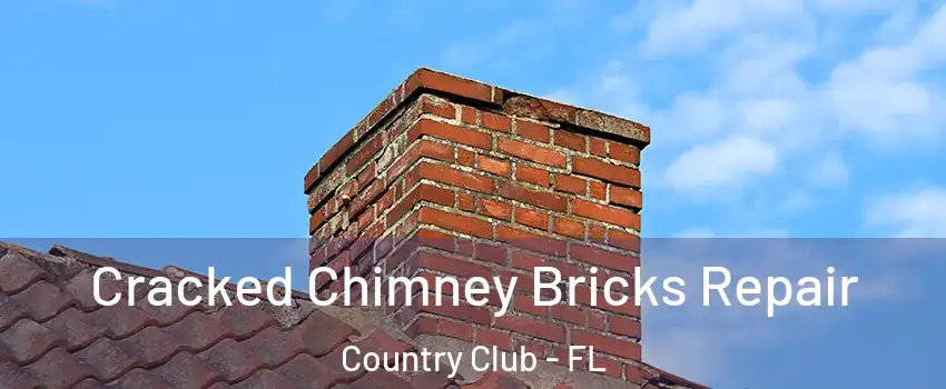  Cracked Chimney Bricks Repair Country Club - FL