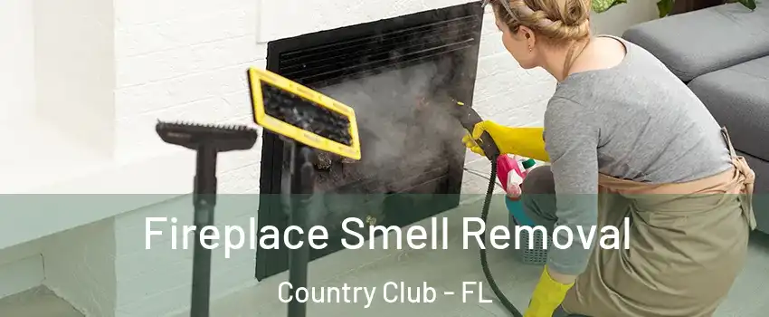  Fireplace Smell Removal Country Club - FL