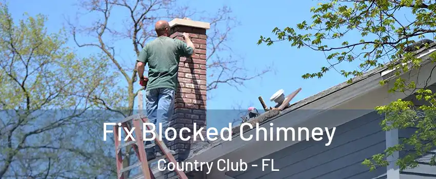  Fix Blocked Chimney Country Club - FL