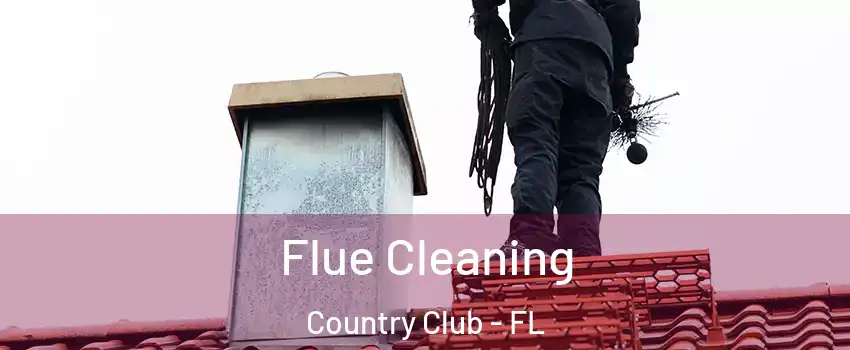  Flue Cleaning Country Club - FL