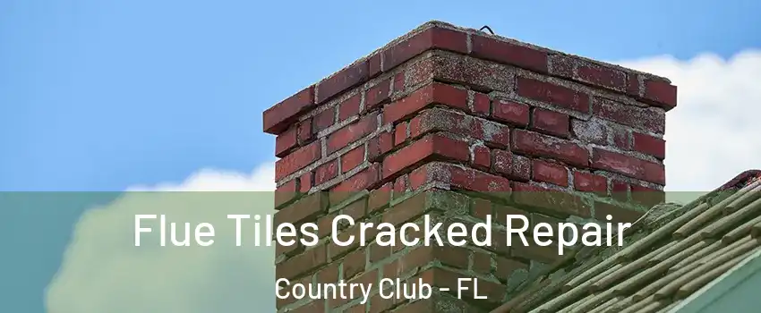  Flue Tiles Cracked Repair Country Club - FL